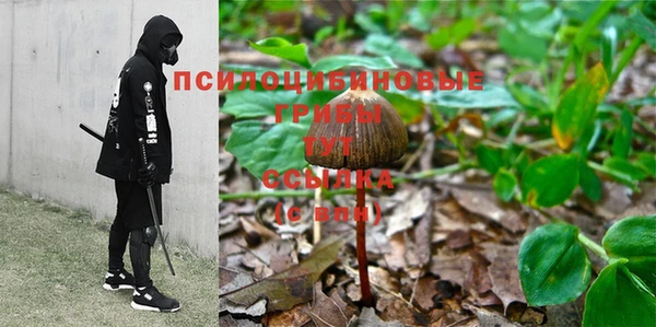 меф Алексин