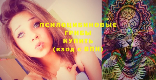 прущая мука Переславль-Залесский