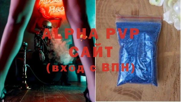 эйфоретик Пересвет