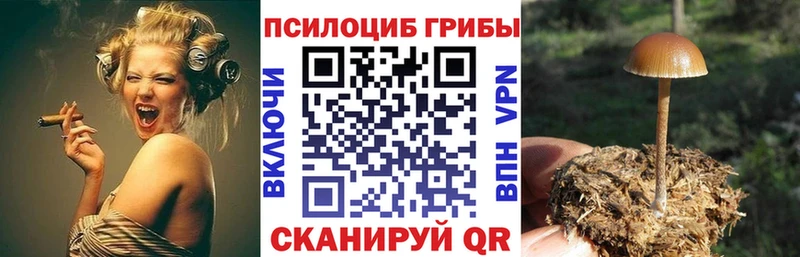 что такое   Алупка  гидра онион  Галлюциногенные грибы Psilocybe 
